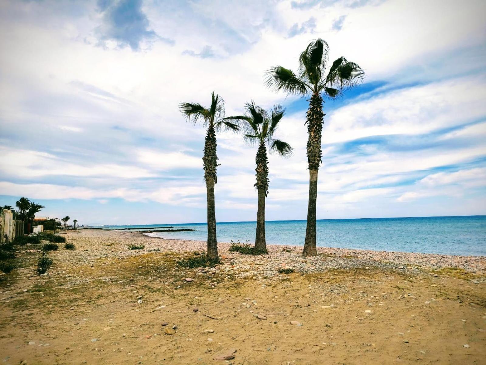 Apartamento Cerca De La Playa Moncófar Екстериор снимка